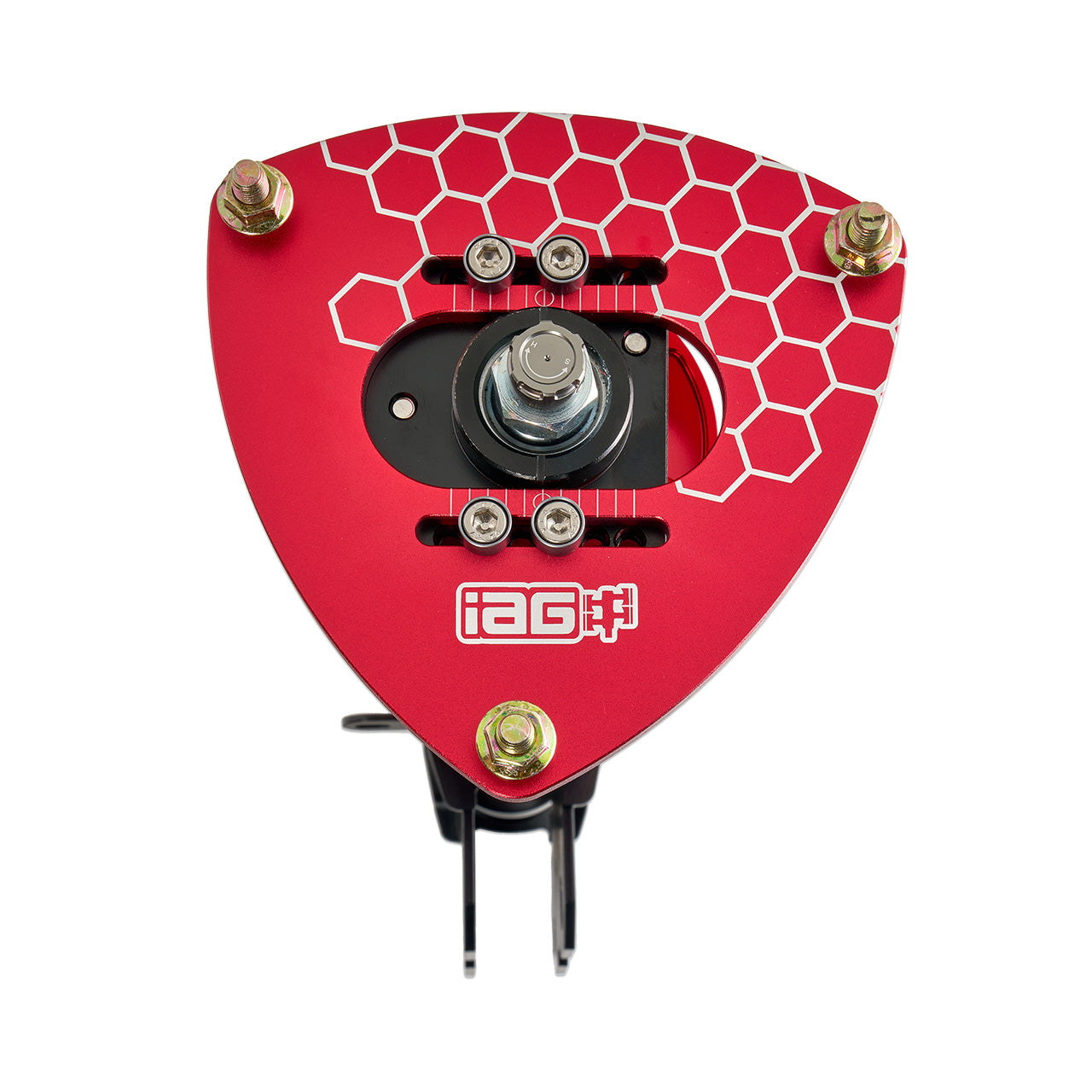IAG-SUS-1004-04.jpg
