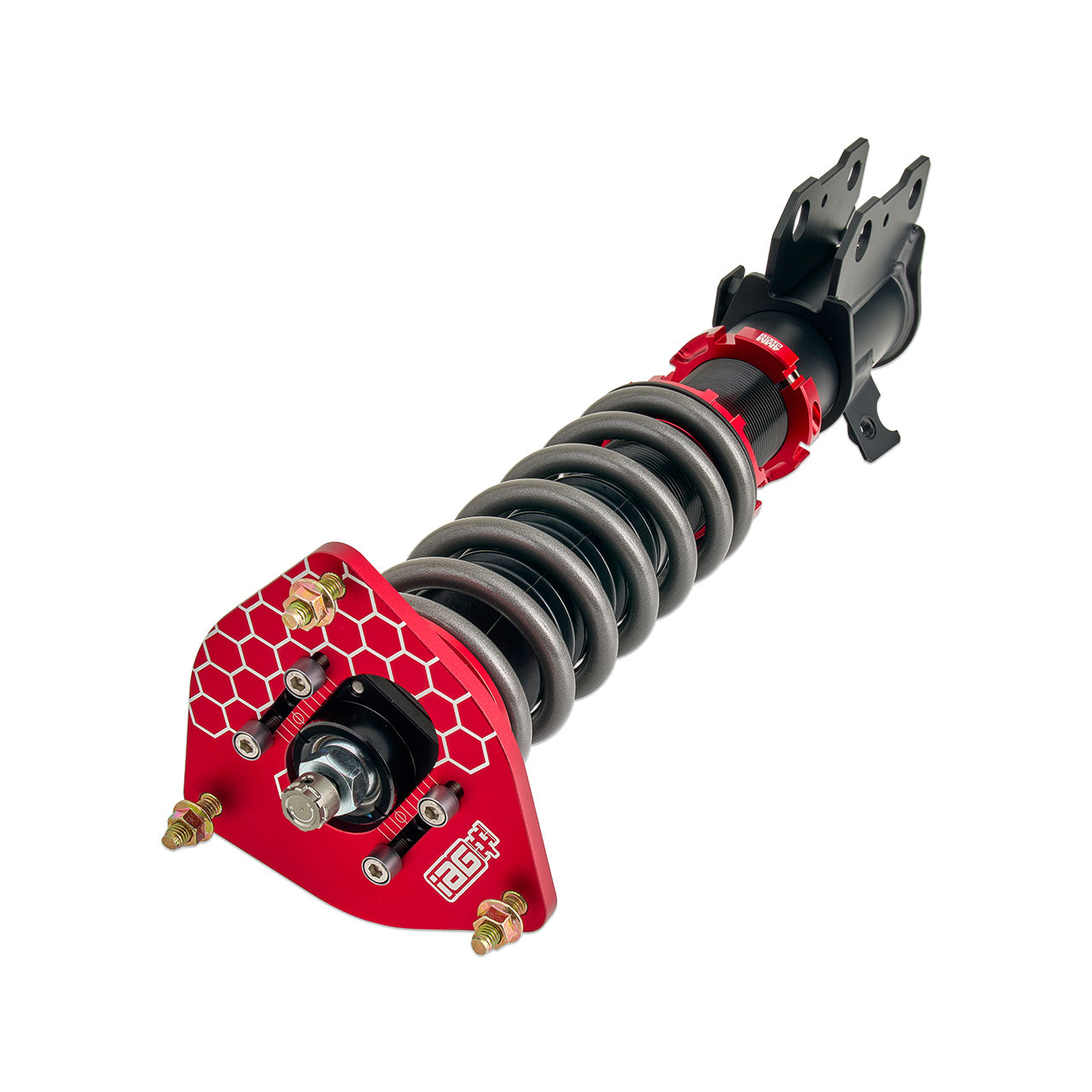 IAG-SUS-1002-05.jpg