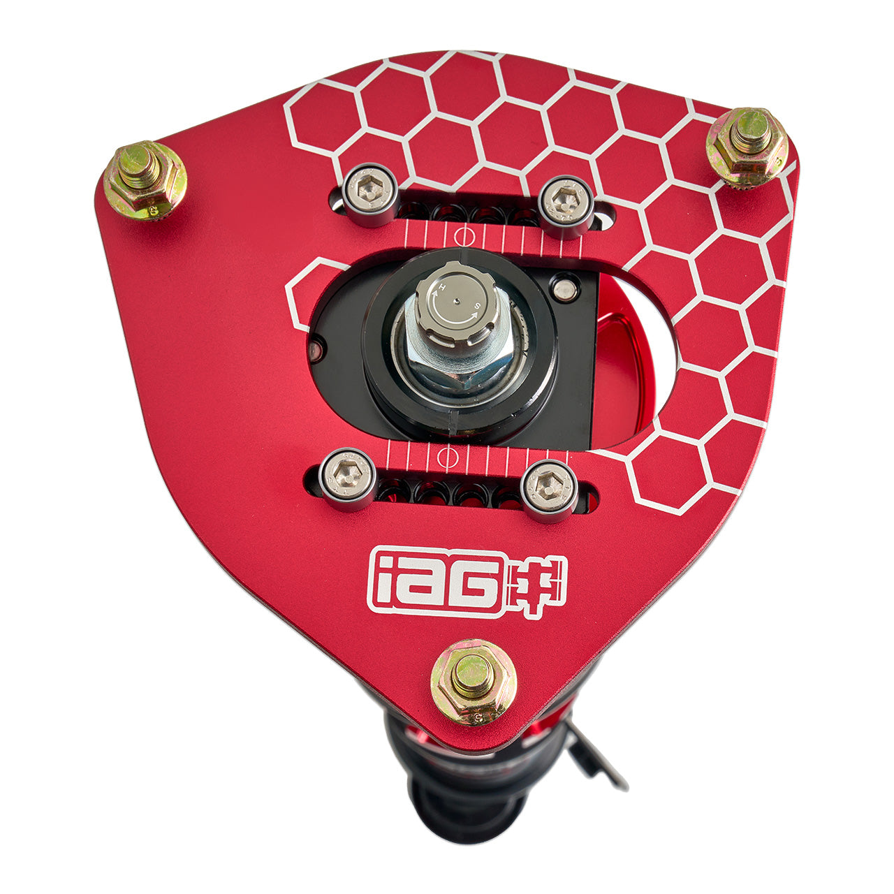 IAG-SUS-1006-06.jpg