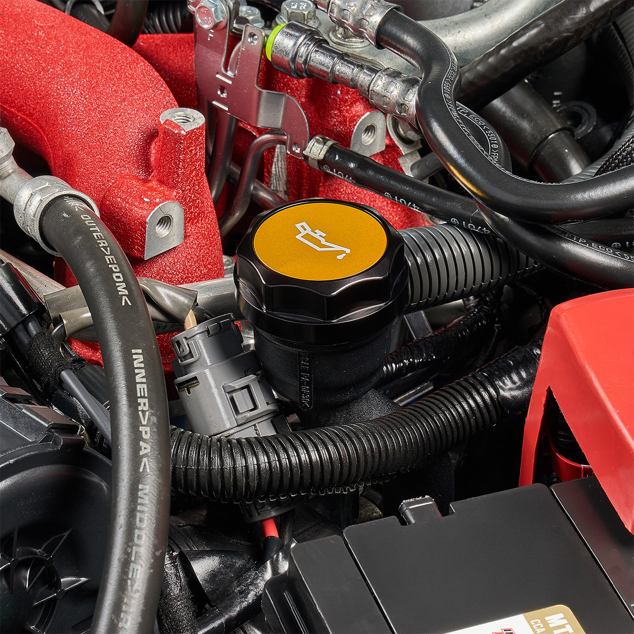IAG-ACC-5301BKGD-08.jpg