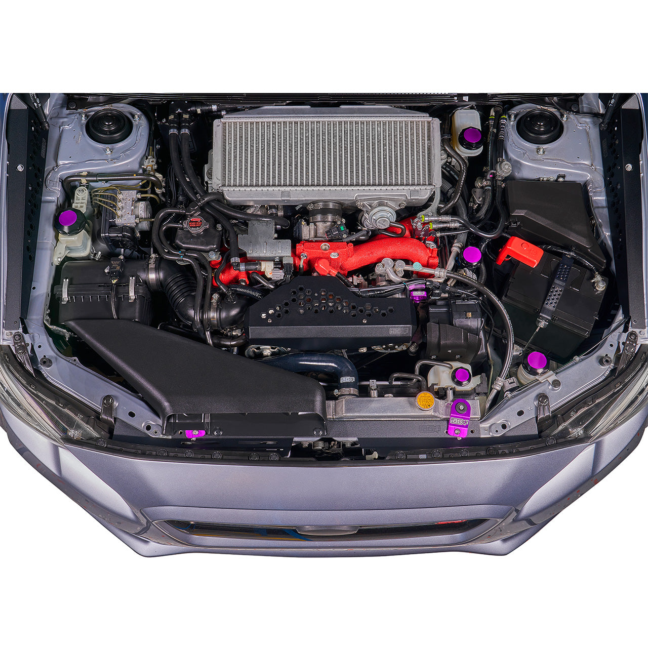 IAG-ACC-5404BKPR-25.jpg