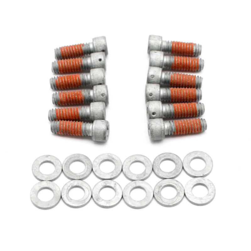 Wilwood DRILLED Rotor Bolt Kit 1/4-20x.75 LG