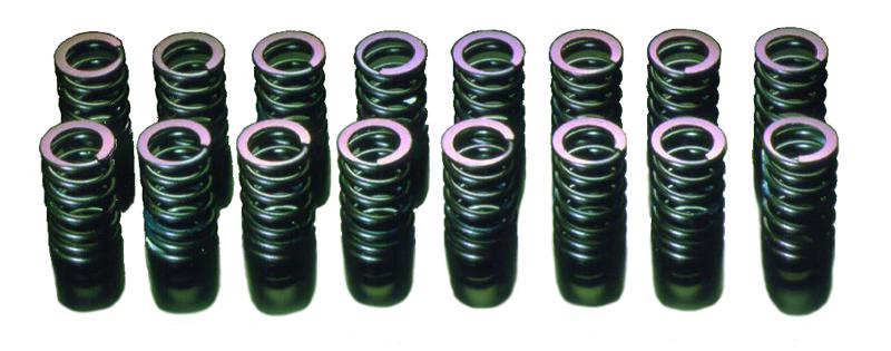 HKS 91-00 Infiniti G20 SR20DET Outer Valve Spring Set