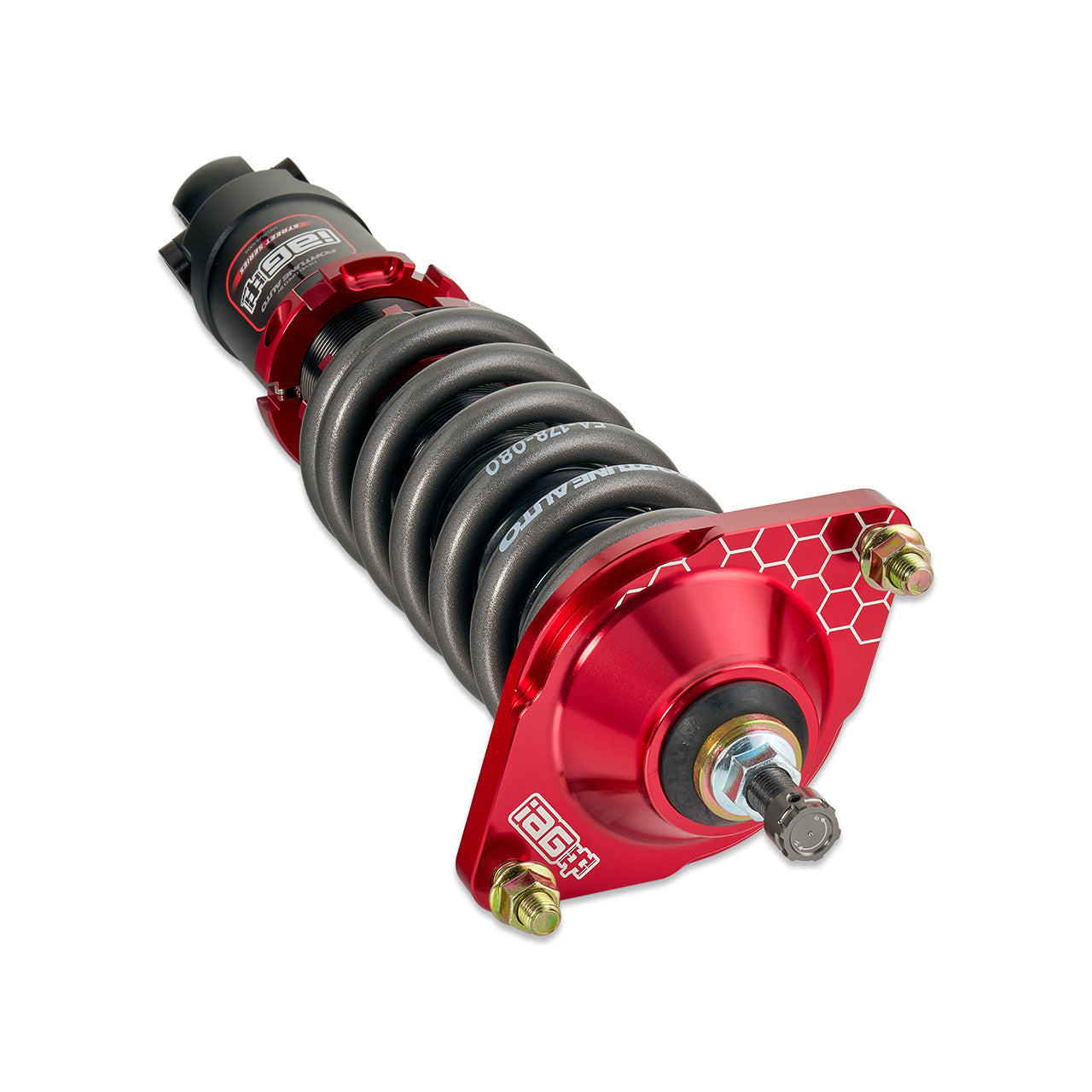 IAG-SUS-1004-06.jpg