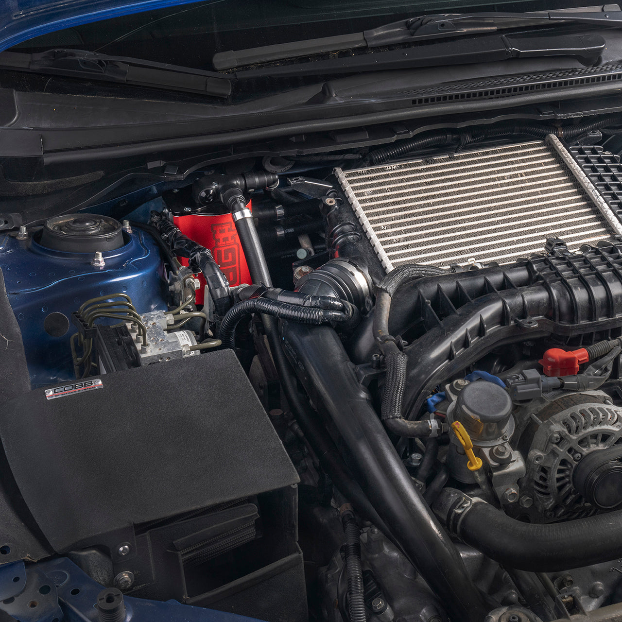 IAG-ENG-7187NY-15.jpg