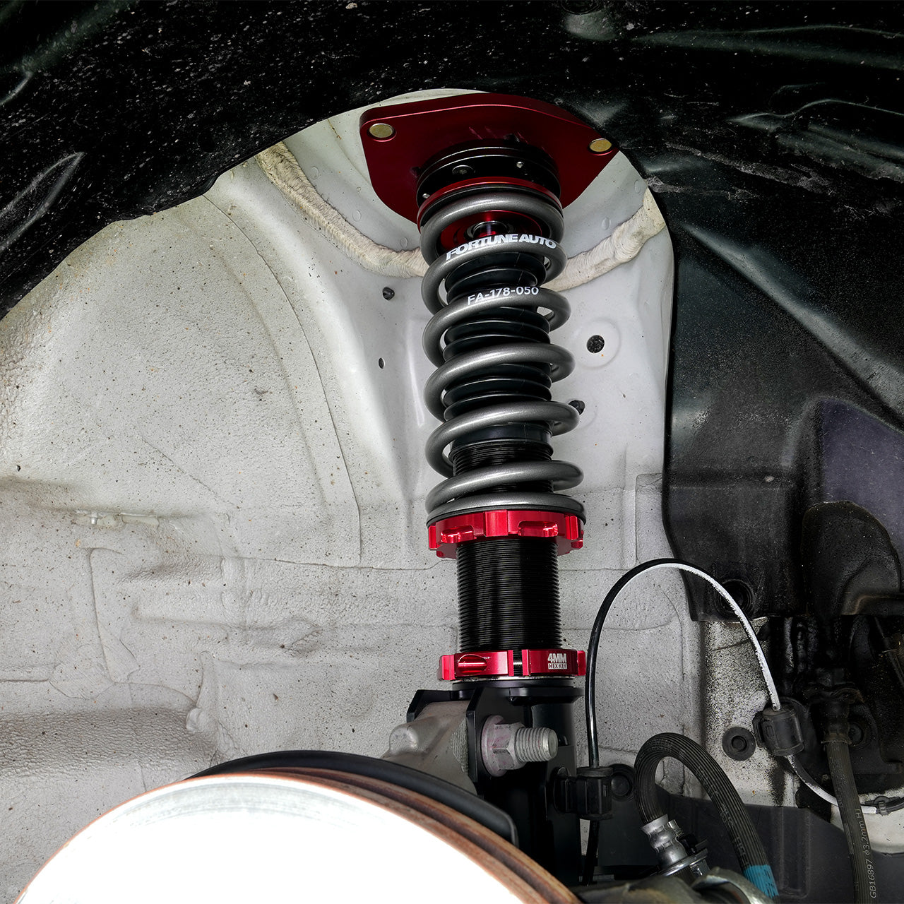 IAG-SUS-1001-11.jpg
