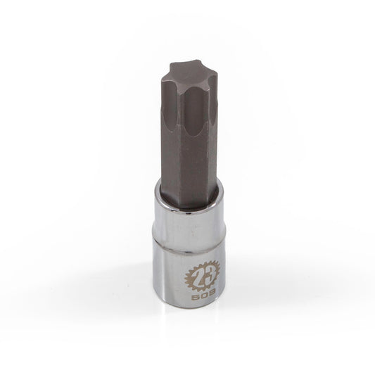 Company23 T70 Drain Plug Socket