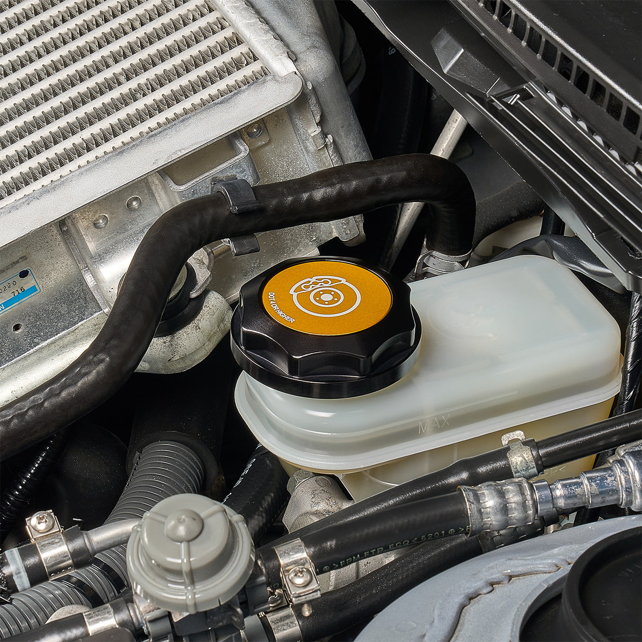 IAG-ACC-5302BKGD-08.jpg