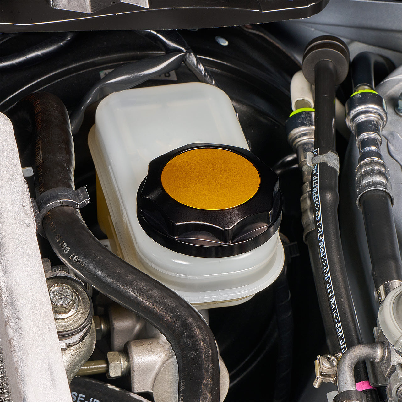 IAG-ACC-5302BKGD-11.jpg