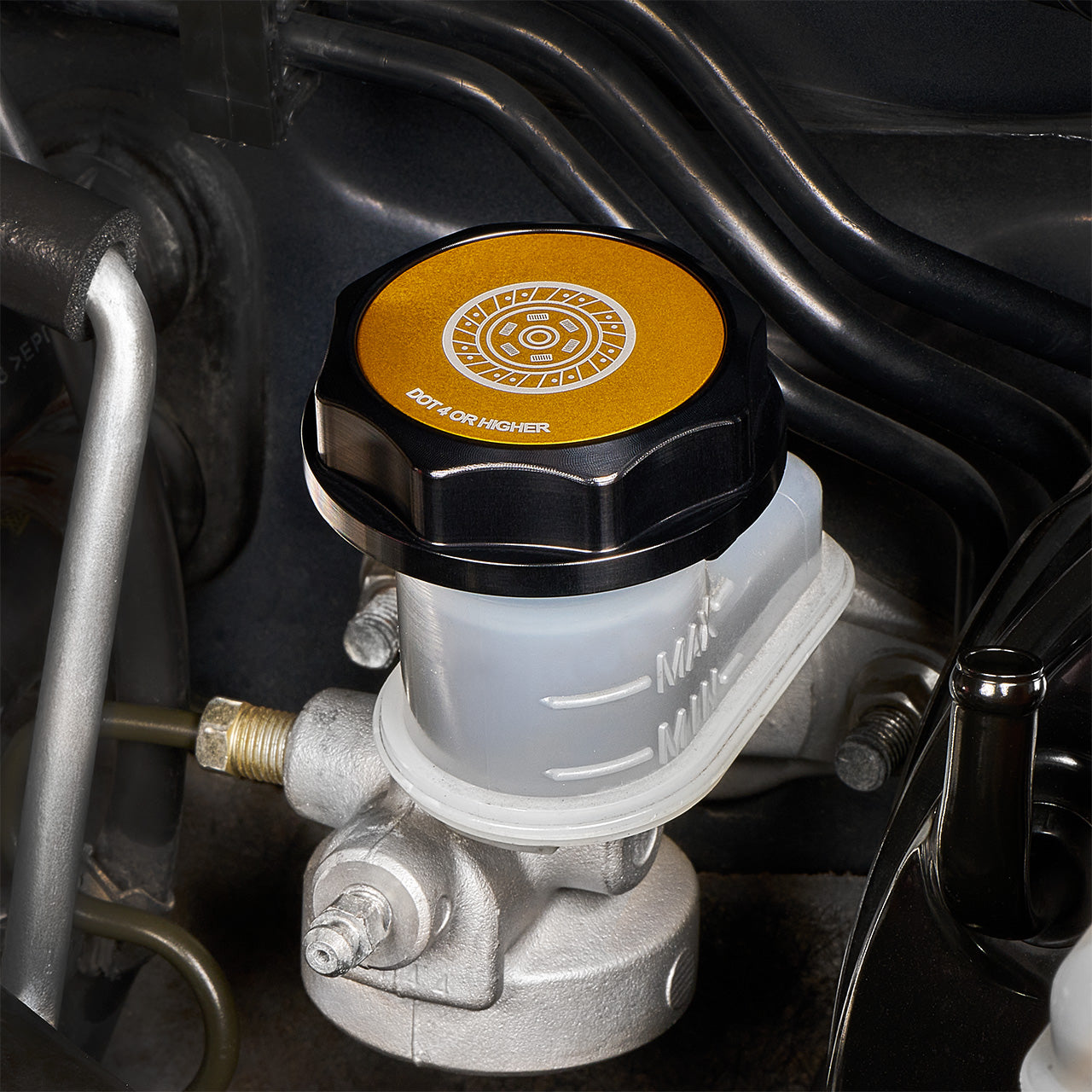 IAG-ACC-5303BKGD-07.jpg