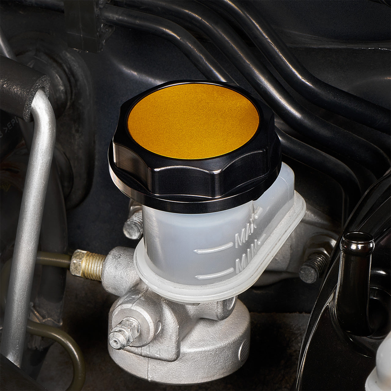 IAG-ACC-5303BKGD-08.jpg