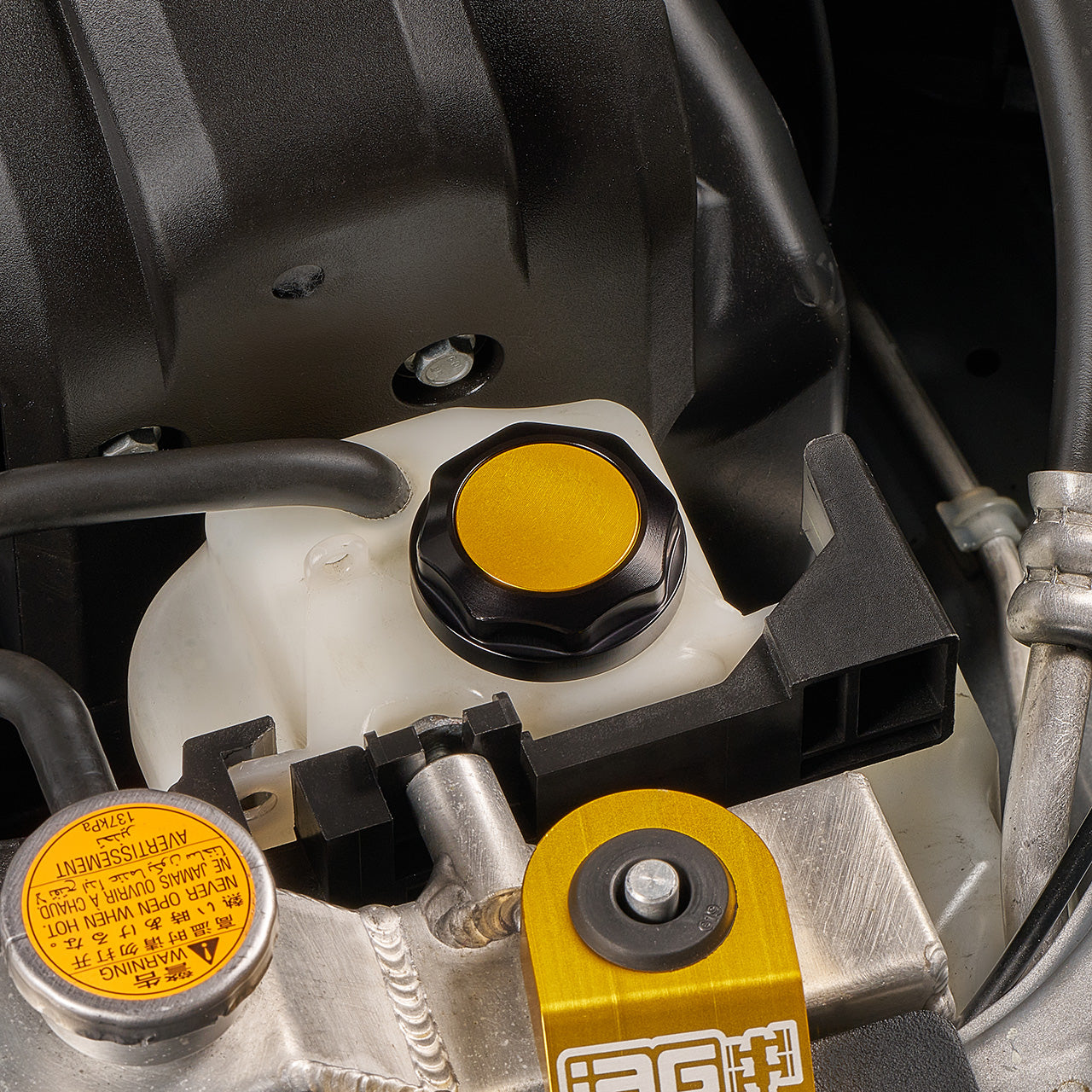 IAG-ACC-5304BKGD-11.jpg