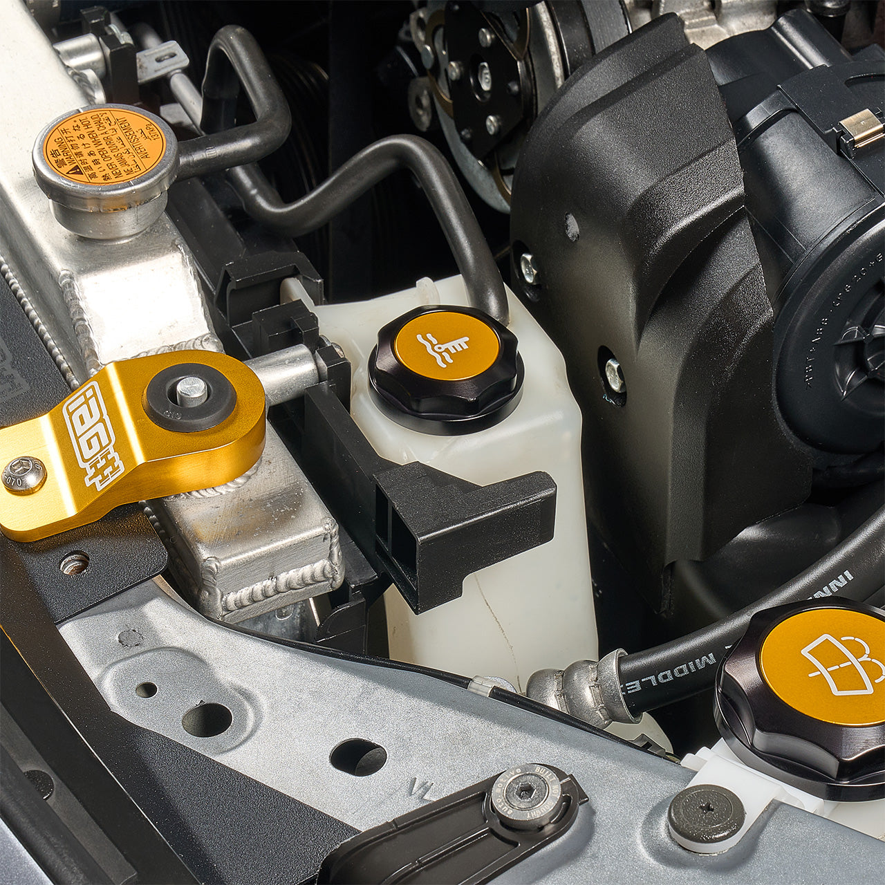 IAG-ACC-5304BKGD-12.jpg