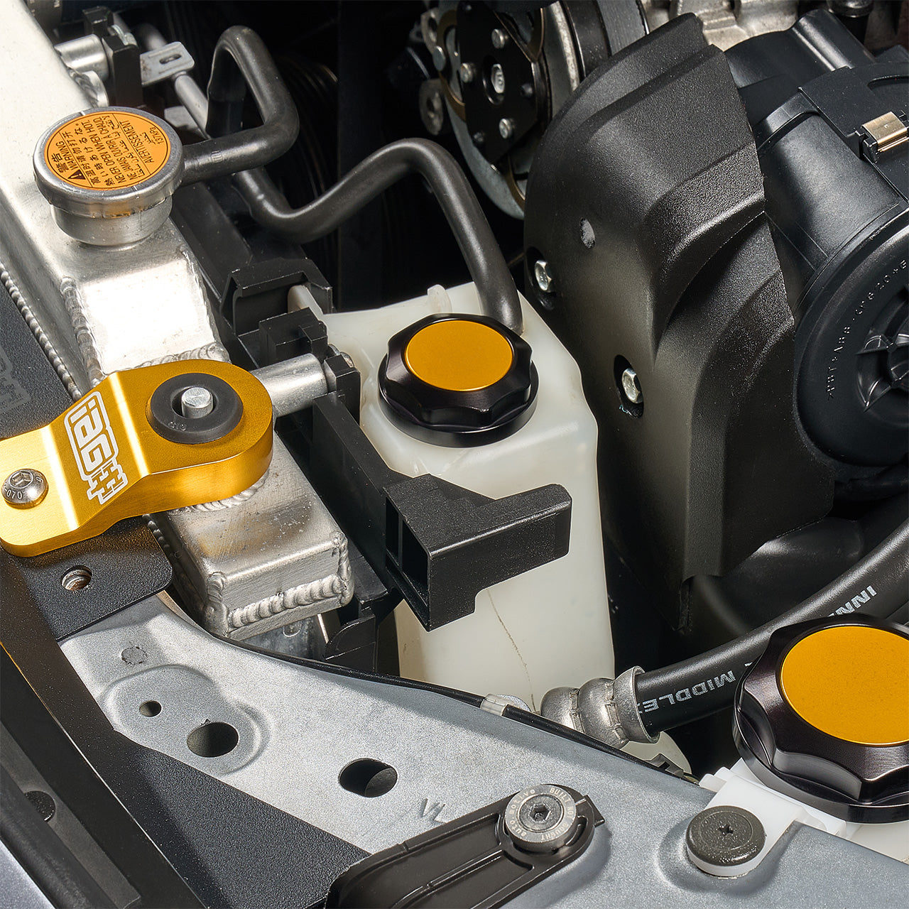 IAG-ACC-5304BKGD-13.jpg