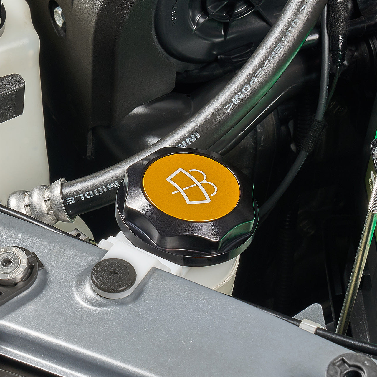 IAG-ACC-5305BKGD-12.jpg