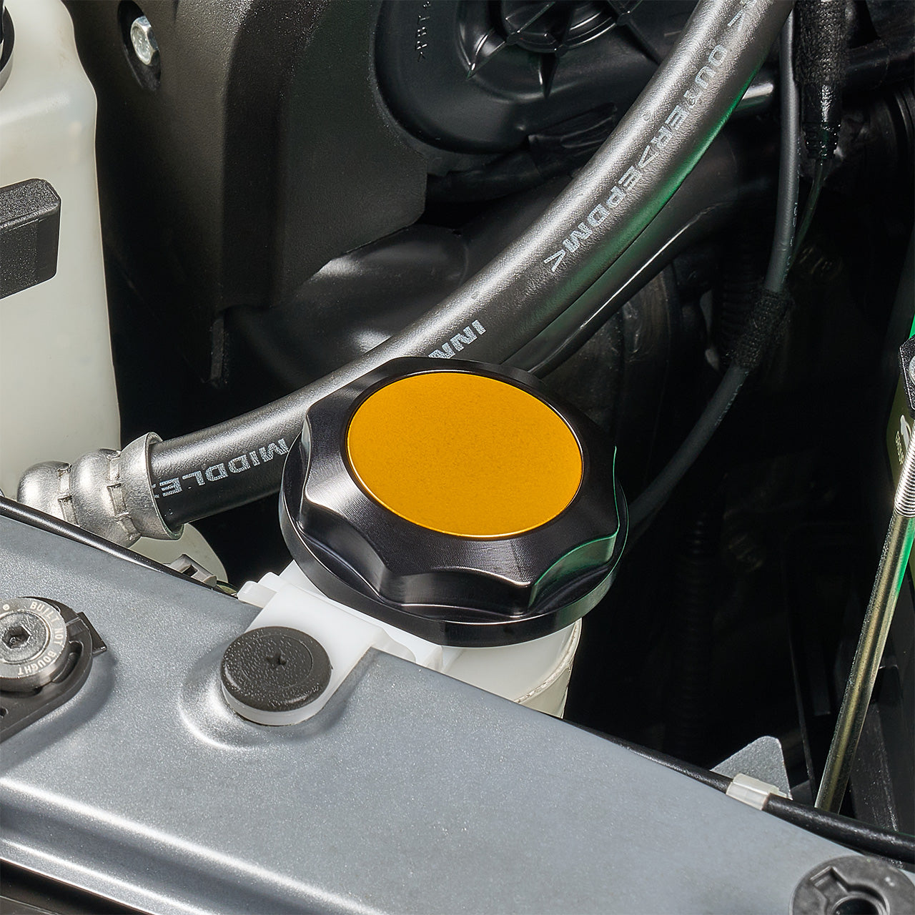 IAG-ACC-5305BKGD-13.jpg