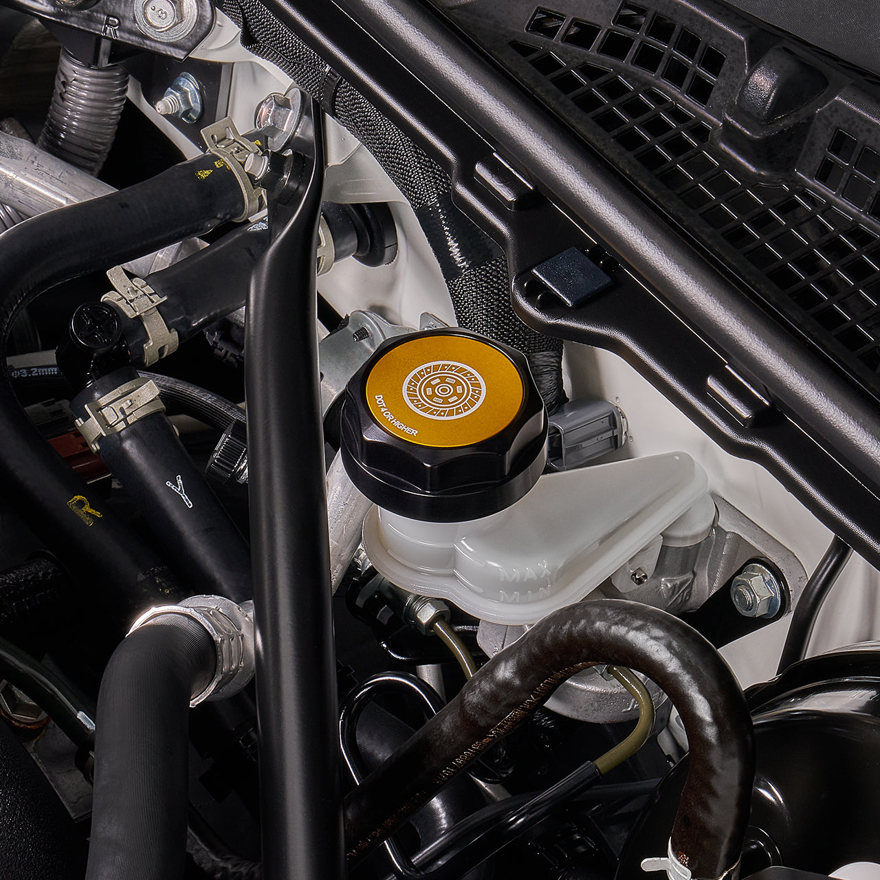 IAG-ACC-5313BKGD-08.jpg