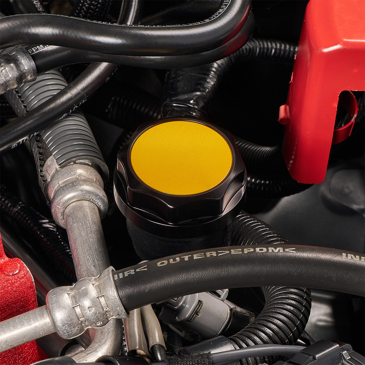 IAG-ACC-5404BKGD-12.jpg