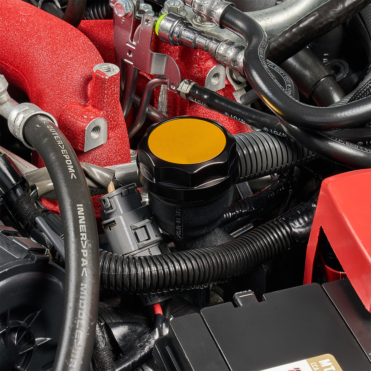 IAG-ACC-5404BKGD-14.jpg