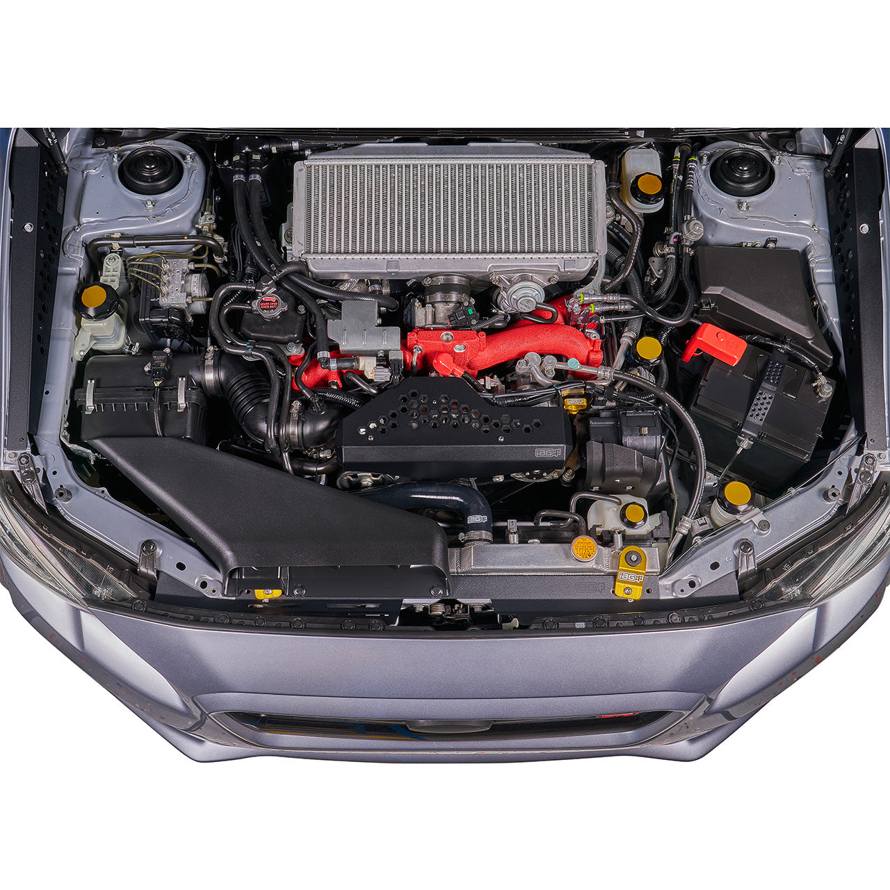 IAG-ACC-5404BKGD-23.jpg