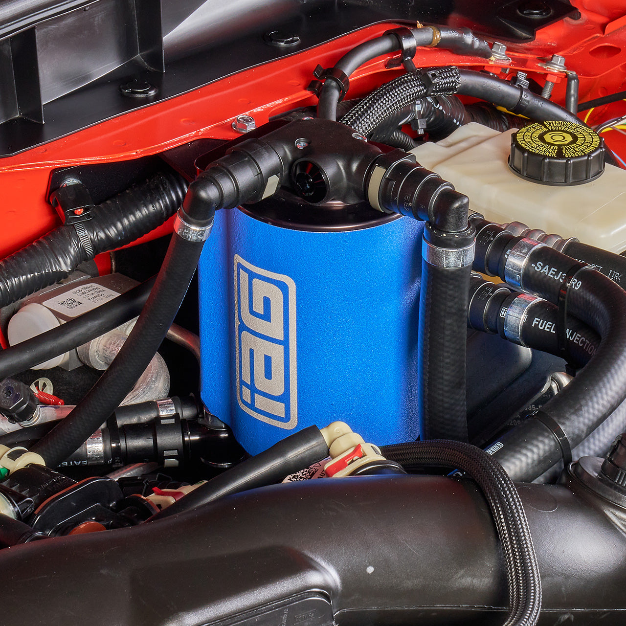IAG-ENG-F7904BL-06.jpg