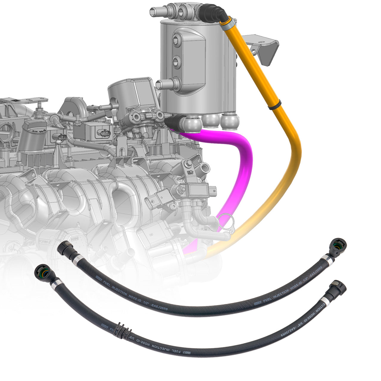 IAG-HSE-F7902-01.jpg