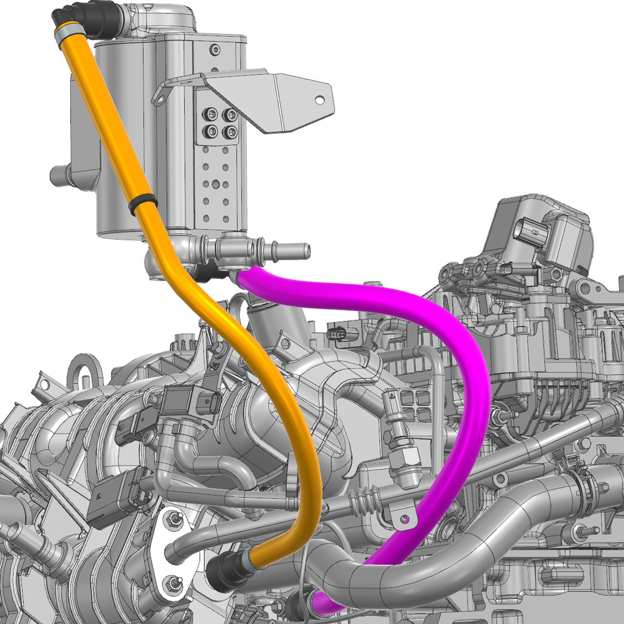 IAG-HSE-F7902-05.jpg