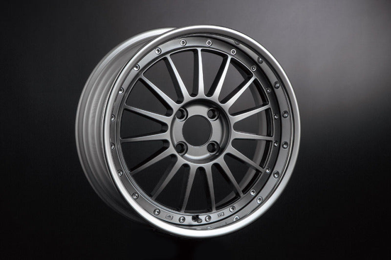 SSR Professor TF1R 16x9.0 / +19 NR / 4x100  - Spectrum Silver