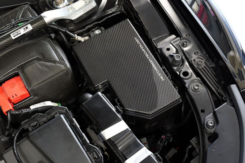 HKS DRY CARBON FUSE BOX COVER FL5