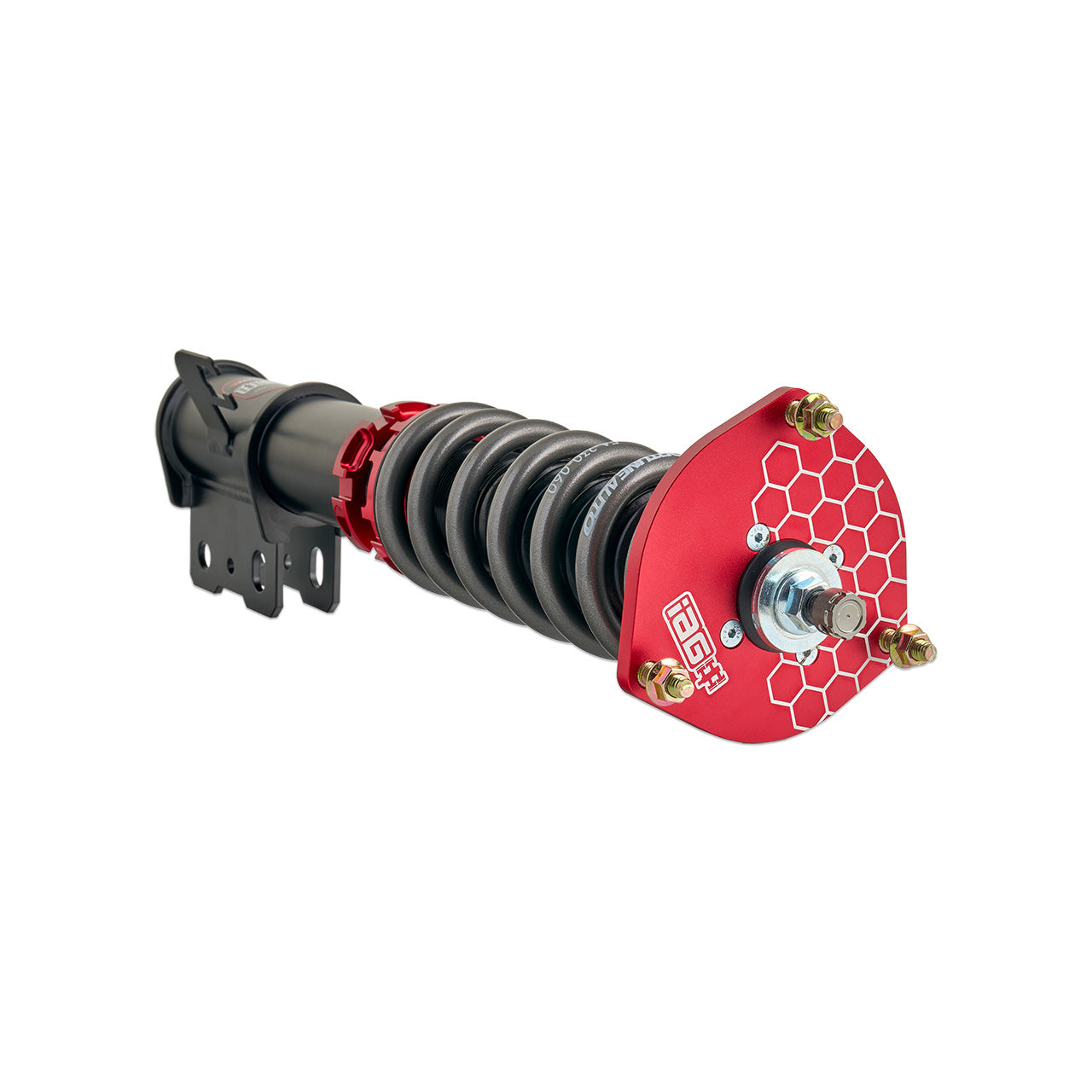 IAG-SUS-1002-04.jpg