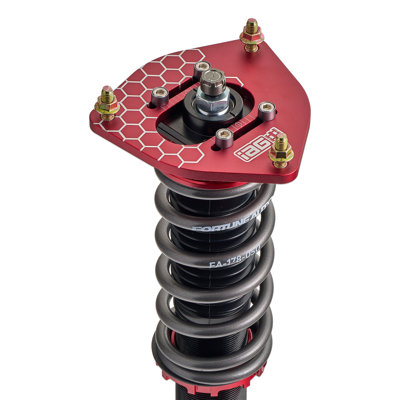 IAG-SUS-1001-04.jpg