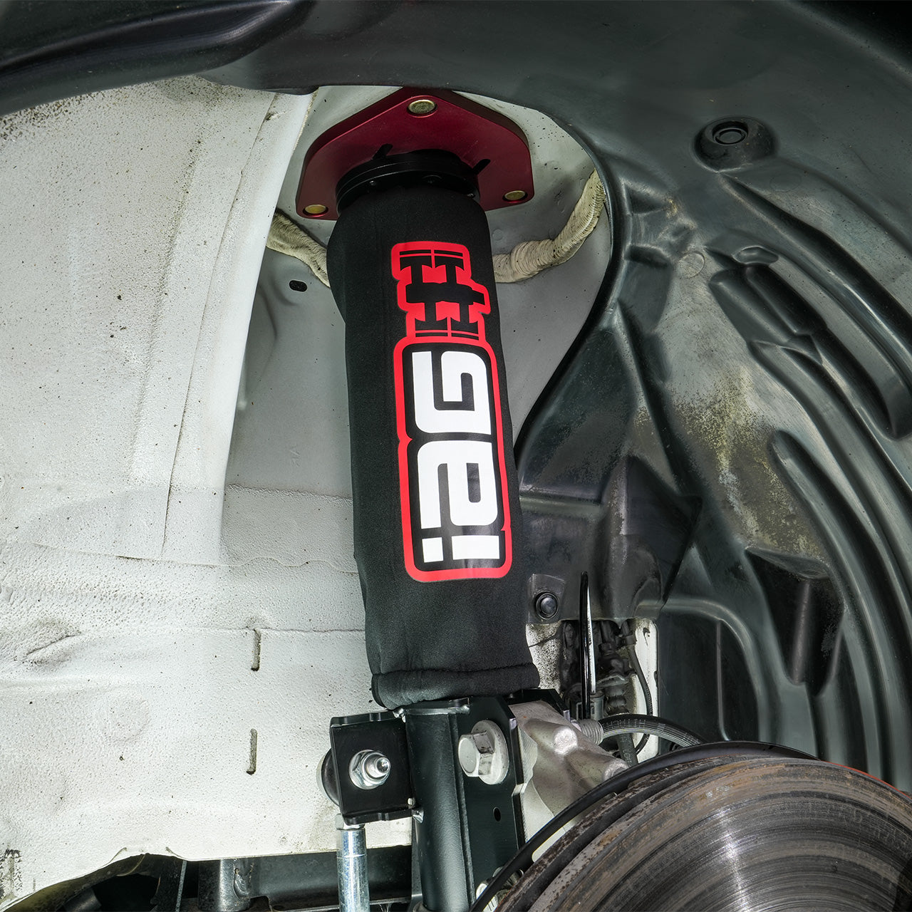 IAG-SUS-1008-04.jpg