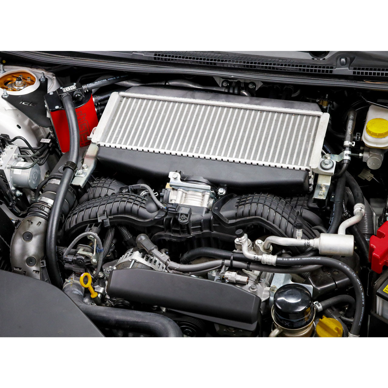 IAG-ENG-7183BK-16.jpg