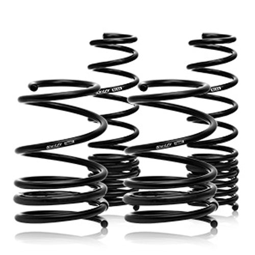 Swift Spec-R Lowering Springs