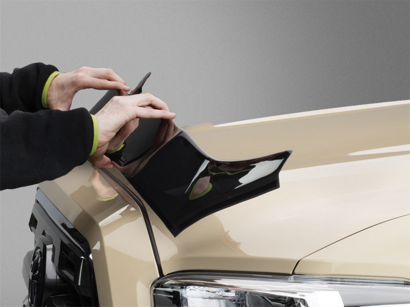 Mustang clearance hood protector